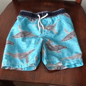 Boys bathing suit.